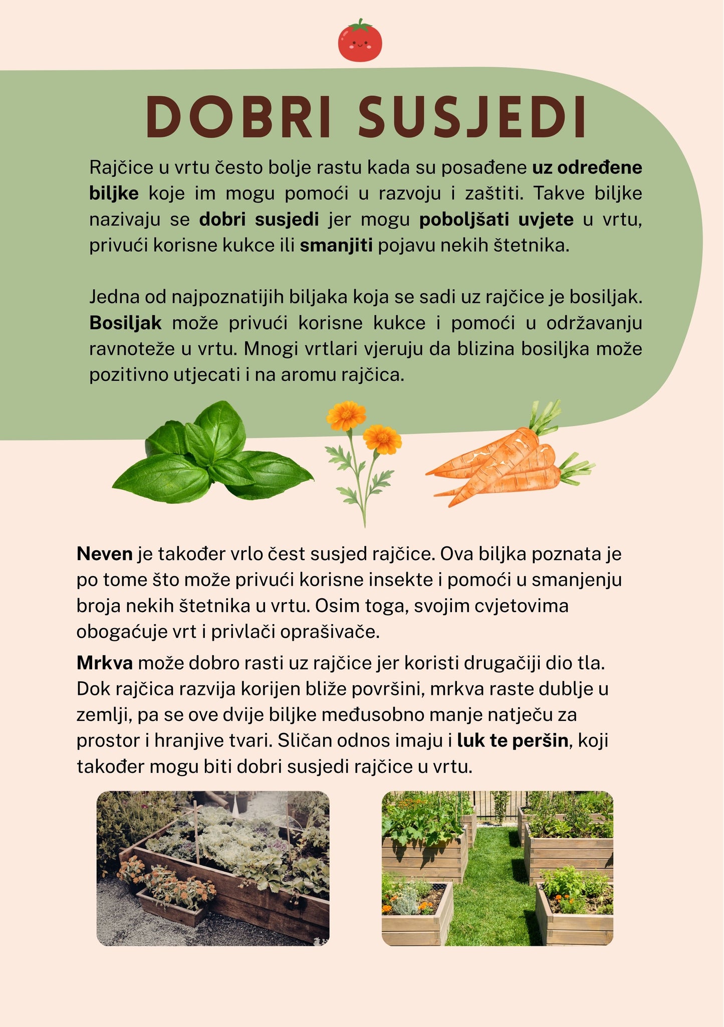 VODIČ RAJČICA - Sve za rajčice na jednom mjestu