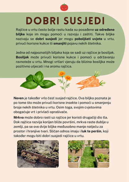 VODIČ RAJČICA - Sve za rajčice na jednom mjestu