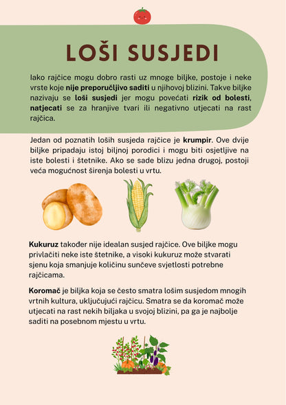 Rajčica - DIGITALNI VODIČ