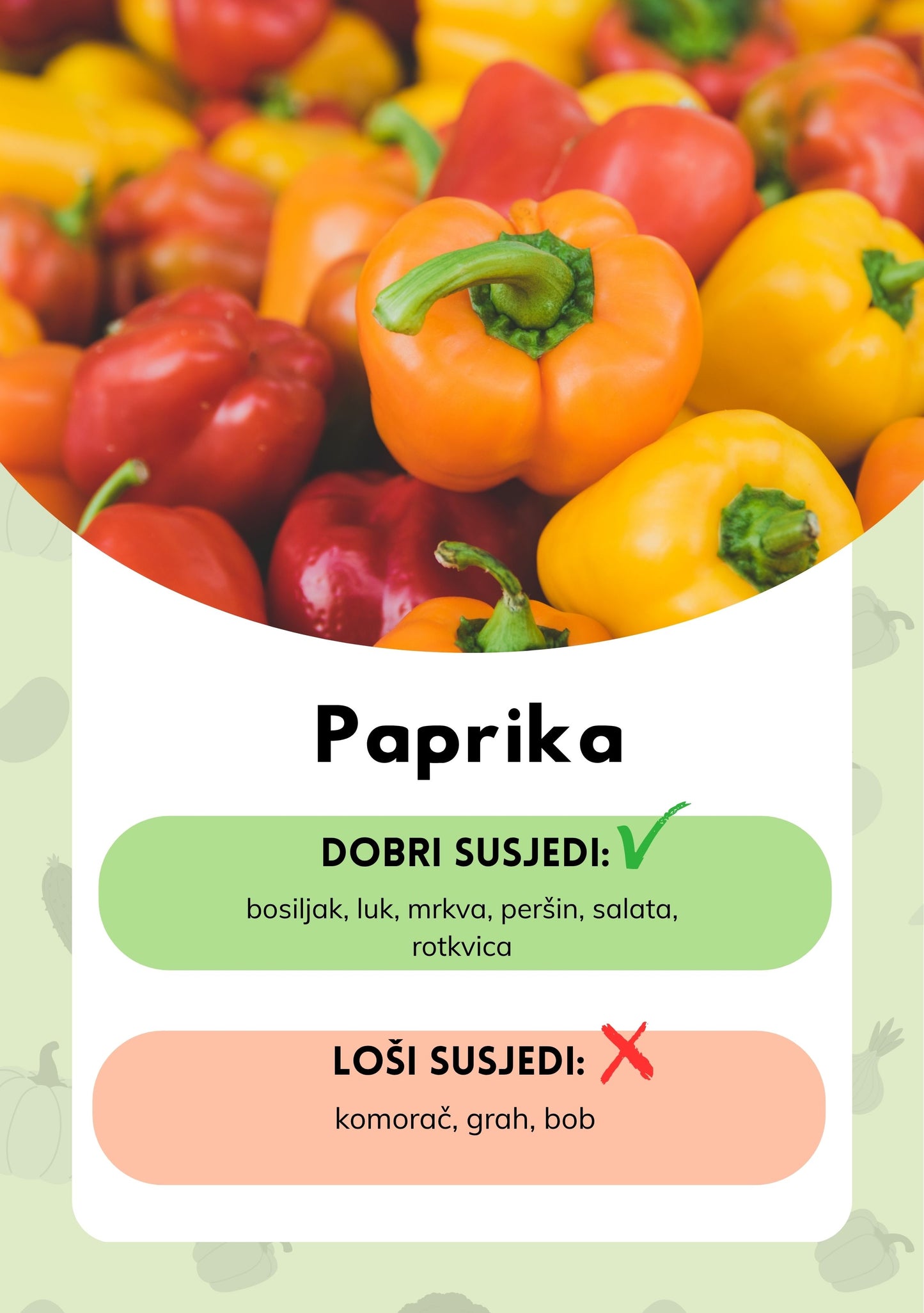 Dobri i loši susjedi - Saveznik pri planiranju vrta