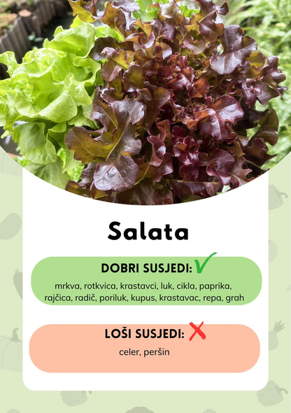 Dobri i loši susjedi - Saveznik pri planiranju vrta