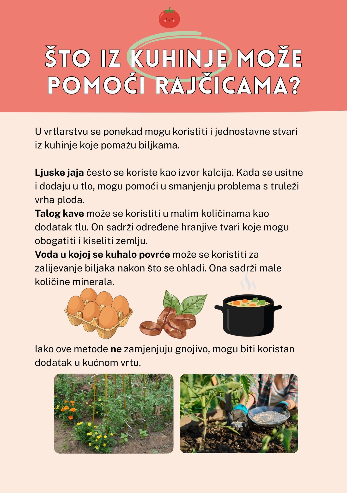 Rajčica - DIGITALNI VODIČ