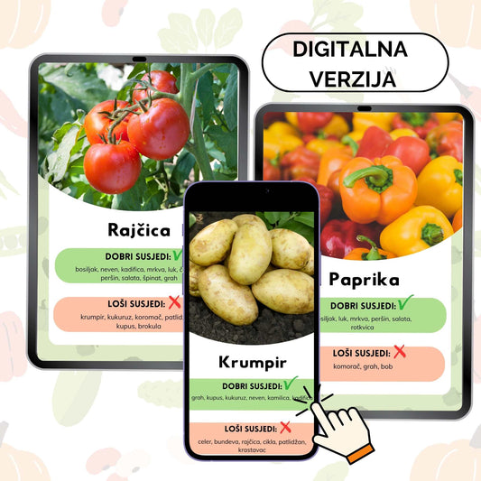 Dobri i loši susjedi DIGITALNO IZDANJE